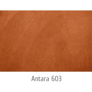 Antara 603 Antara 603