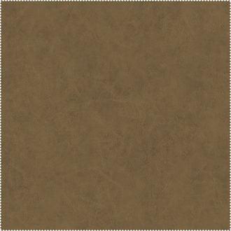 AquaClean Bison111