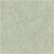 AquaClean Bison139