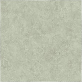 AquaClean Bison139