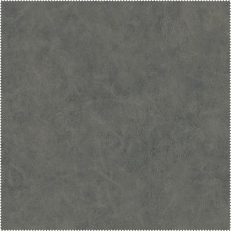 AquaClean Bison152