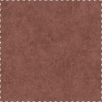 AquaClean Bison153