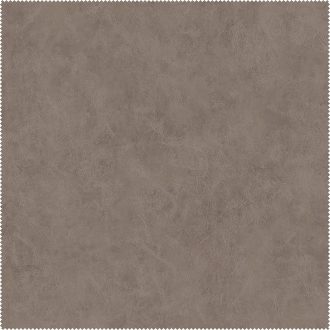 AquaClean Bison164