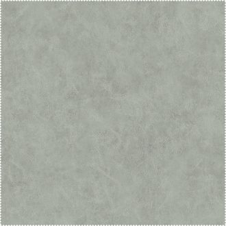AquaClean Bison165