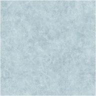 AquaClean Bison1184