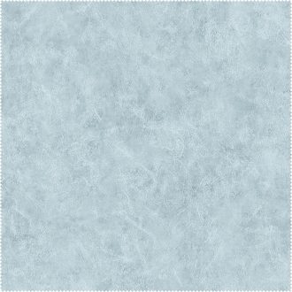 AquaClean Bison1184