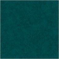 AquaClean Bison423