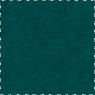 AquaClean Bison423