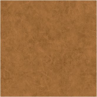 AquaClean Bison424