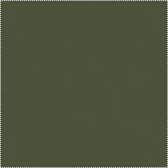 Carabu49