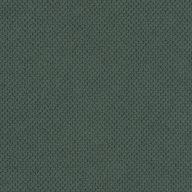 Curio_37