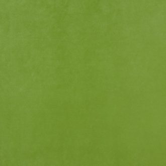 Glam velvet 38 - light green