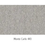 Monte Carlo 443