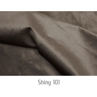 Shiny 101 szövet