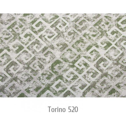 Torino520