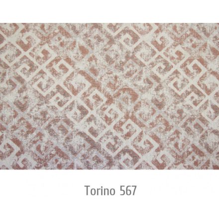 Torino567