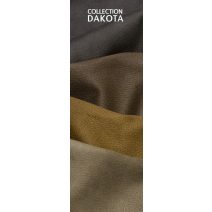 Dakota